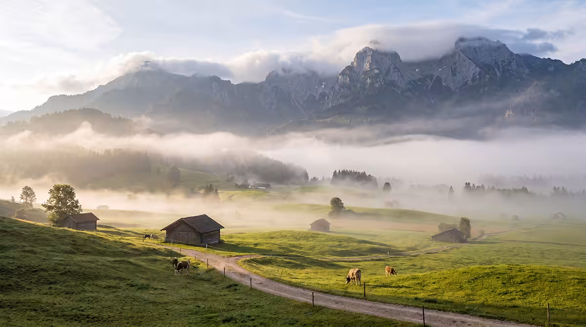 made-in-bayern-holzverarbeitung-halleluja-sauna-marketing
